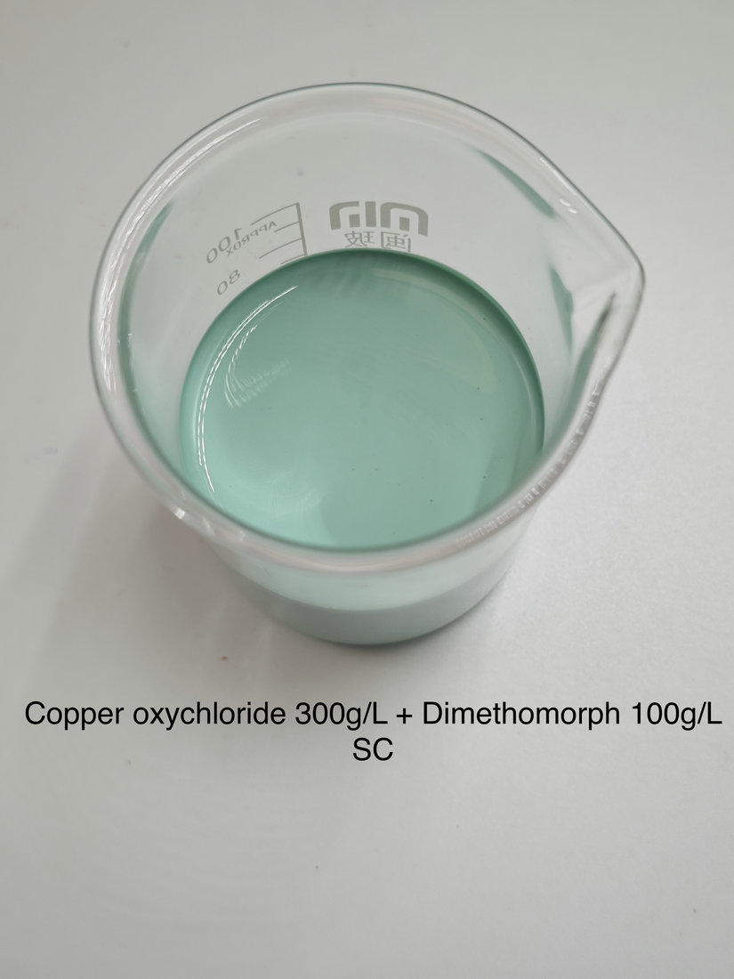 Copper oxychloride 300g/L + Dimethomorph 100g/L SC